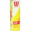 Puck & Bälle Championship Tennisbälle Wilson 4er SET, Tennis Ball
