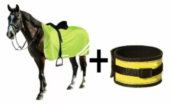 Shop-halona Sicherheitset Pferd, Leuchtgamaschen Und Reflex-Sicherheitsdecke 135 Cm Reitsport 9 Shop-halona Sicherheitset Pferd, Leuchtgamaschen Und Reflex-Sicherheitsdecke 135 Cm Reitsport