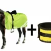 Shop-halona Sicherheitset Pferd, Leuchtgamaschen Und Reflex-Sicherheitsdecke 145 Cm 2 Shop-halona Sicherheitset Pferd, Leuchtgamaschen Und Reflex-Sicherheitsdecke 145 Cm
