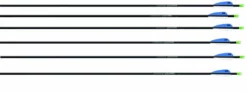 Shop-halona 6x Easton Carbonpfeil Inspire Bogensport Pfeil SPINE 570 31,50
