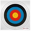 Shop-halona Zielscheiben 10x FITA Scheibenauflage, Zielscheibe, Bogenschießen, Sportbogen Auflage
