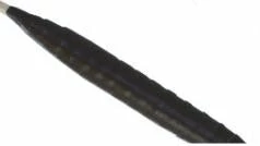 Shop-halona Pfeil Und Bogen 80cm -little Apache- F. Kinder 3 Pfeile