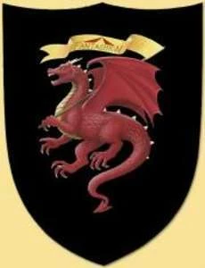 Shop-halona Schild, Ritterschild, Holz-Schild F. Kinder Drache, Schwarz/rot