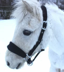 Shop-halona Reitsport Nylonhalfter Pidero Serie 05 Fleece Versch. Größen