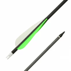 Shop-halona 6x Carbonpfeil Gold Tip Black Hunter 30 Zoll Spine 340 Bogensport 6 Shop-halona 6x Carbonpfeil Gold Tip Black Hunter 30 Zoll Spine 340 Bogensport