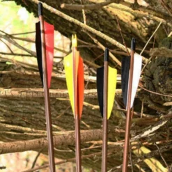 Shop-halona 4x Sportpfeil Traditionell 30 Zoll Schraubspitze Pfeile