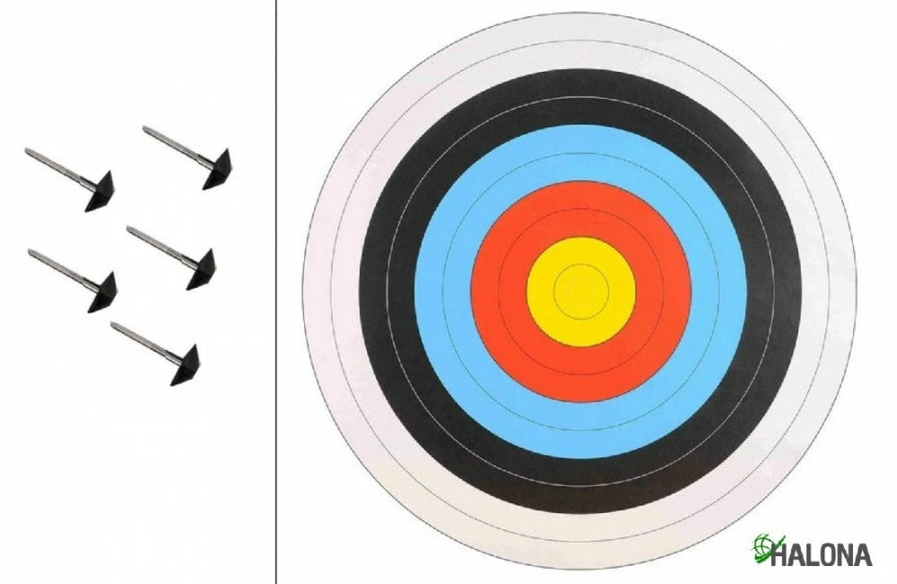 Shop-halona Zielscheiben 10x FITA Scheibenauflage 60cm, + 5 Scheibennägel, Zielscheibe, Bogenschießen, 4 Shop-halona Zielscheiben 10x FITA Scheibenauflage 60cm, + 5 Scheibennägel, Zielscheibe, Bogenschießen,