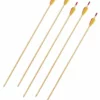 Shop-halona 5x Sportpfeil Holz Pfeil, 29 Zoll, Bignami Italy Mit Spitze, Jugend