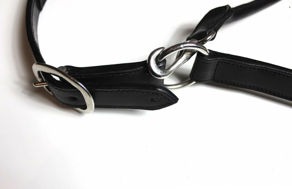 Shop-halona Reitsport Lederhalfter Pidero Serie 18 Gepolstert Versch. Größen 3 Shop-halona Reitsport Lederhalfter Pidero Serie 18 Gepolstert Versch. Größen