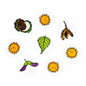 Shop-halona Entdecken Und Forschen Blätter, Bäume Und Früchte Stempel Set, Blätterstempel 6 Shop-halona Entdecken Und Forschen Blätter, Bäume Und Früchte Stempel Set, Blätterstempel