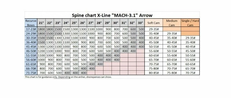 Shop-halona 12x Mach 3.1 Carbonpfeil 600 3 Shop-halona 12x Mach 3.1 Carbonpfeil 600