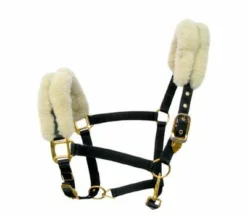 Shop-halona Nylonhalfter Pidero Serie 03 Nylon Versch. Größen Reitsport