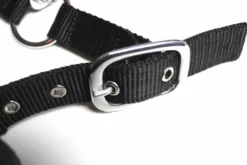 Shop-halona Reitsport Nylonhalfter Pidero Serie 05 Fleece Versch. Größen