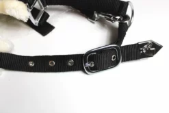 Shop-halona Nylonhalfter Pidero Serie 03 Nylon Versch. Größen Reitsport