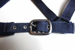 Shop-halona Reitsport Nylonhalfter Pidero Serie 05 Fleece Versch. Größen