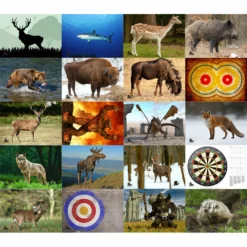 Shop-halona Zielscheiben Scheibenauflage, Zielscheibe Bogenschießen Stronhold Bunte Motive